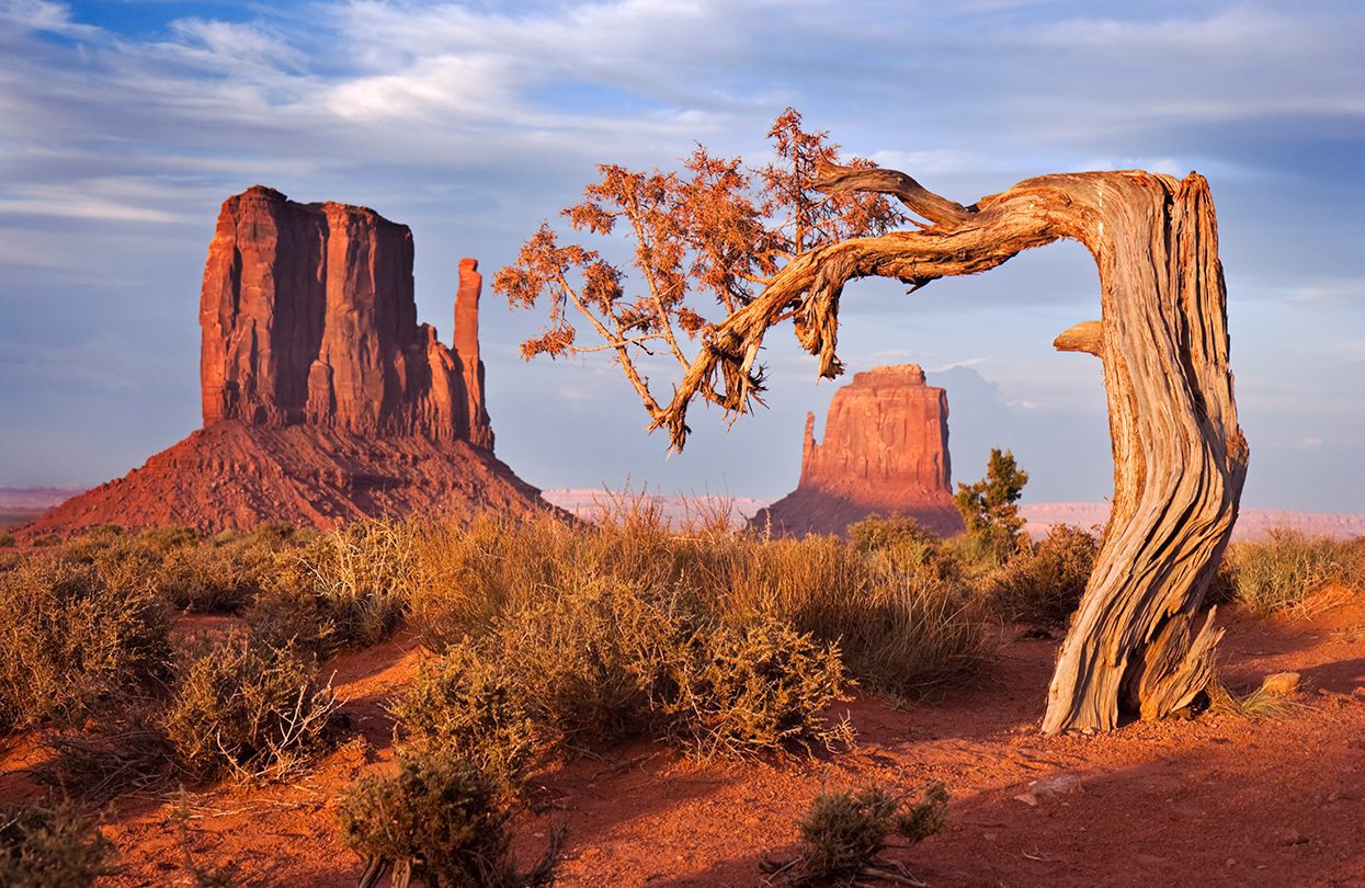 Navajo Tribal Park by Sara Winter