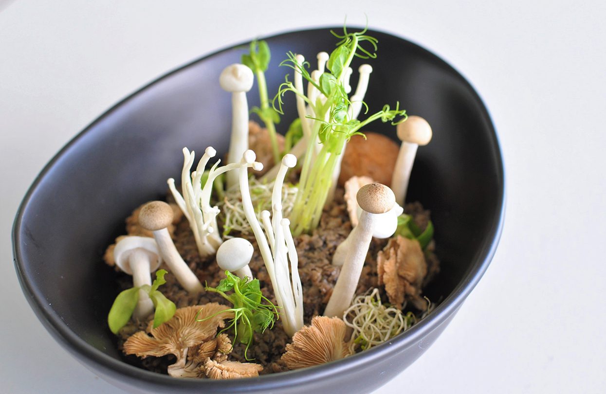 Mushroom Garden