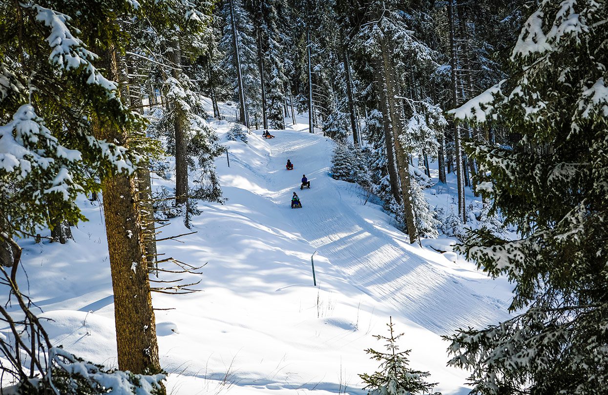 Sledging in Graubunden © Holiday Region Lenzerheide