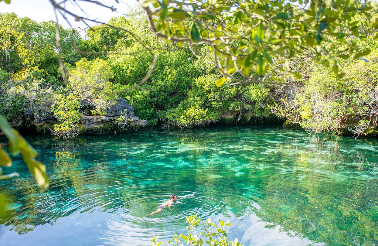 Mafia Island - Secluded freshwater pools dot the island