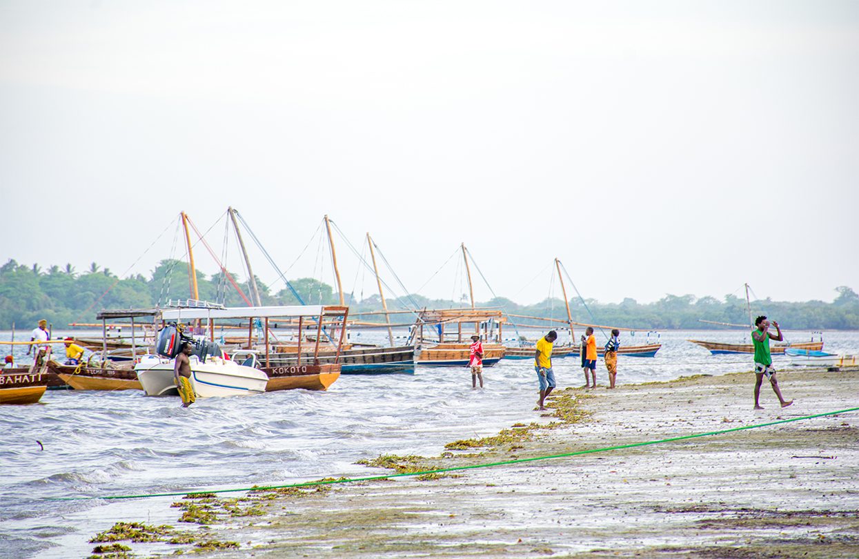 Mafia Island - Low tide at Utende in the Marine Park