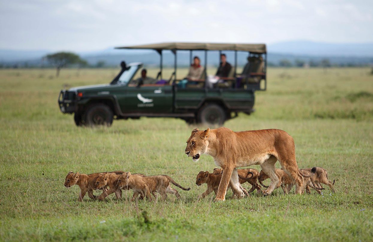 Africa Tanzania Grumeti Experience Game Drive