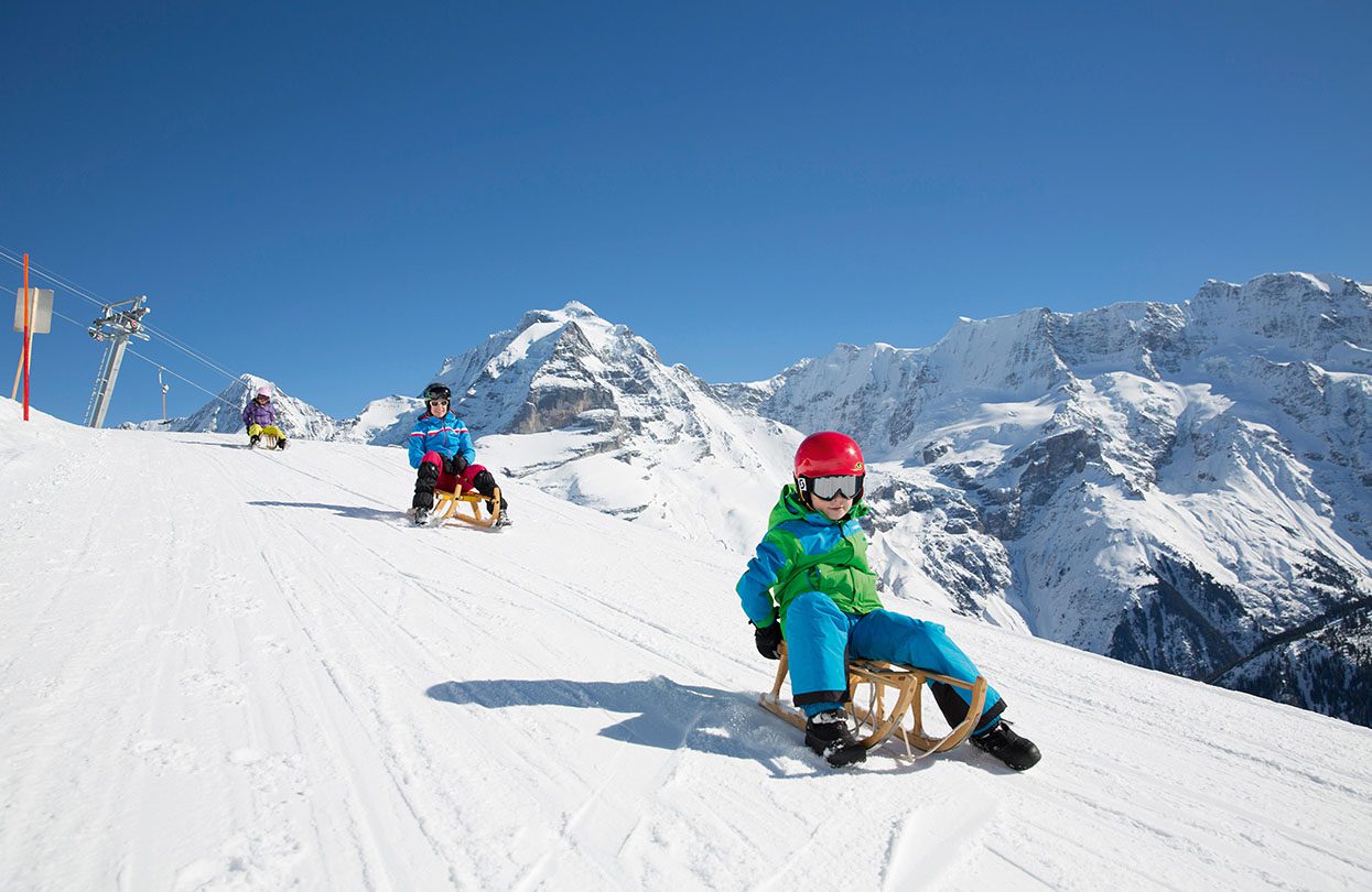 Sledging in Mürren, image by Switzerland Tourism