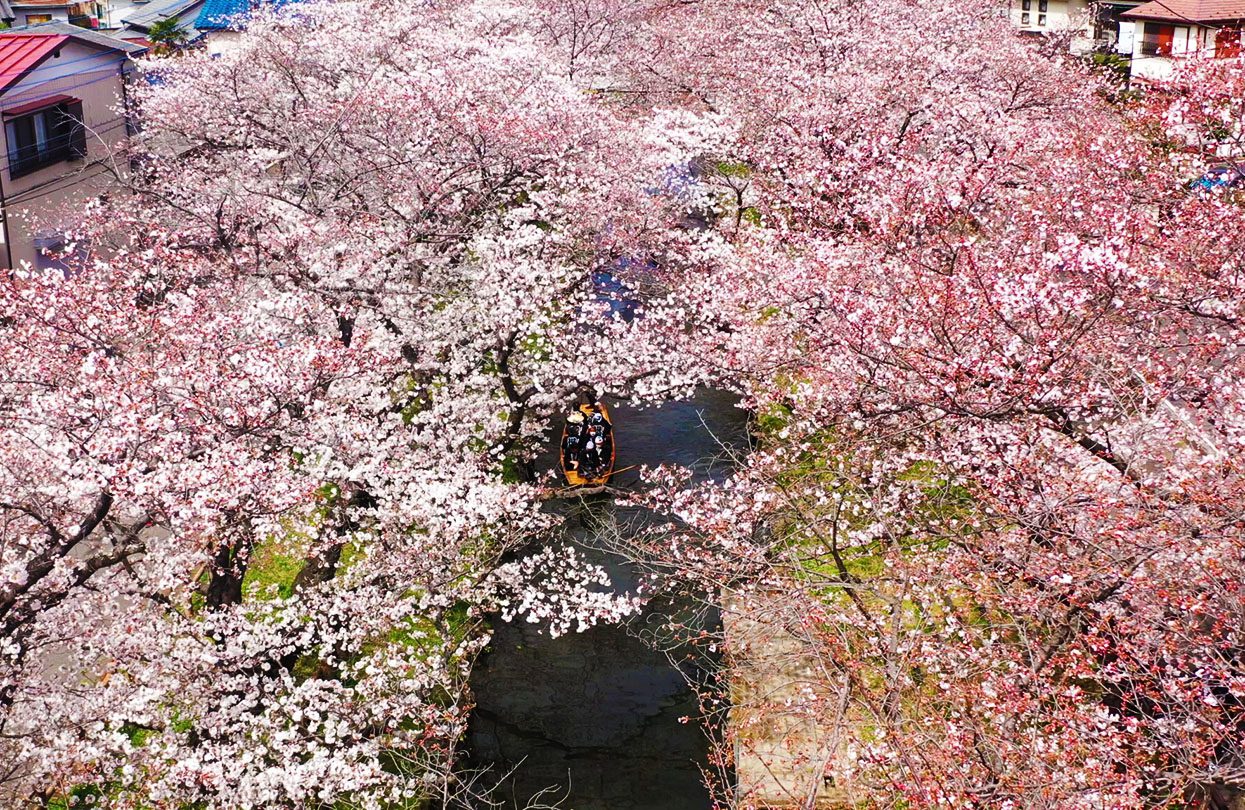 Koedo Kawagoe Spring Boat Tour, Image by Koedo Kawagoe Tourist Association