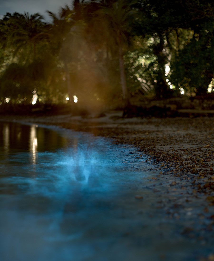 Cambodia's Eco friendly Retreat Song Saa Private Island - Bioluminescent Planktons