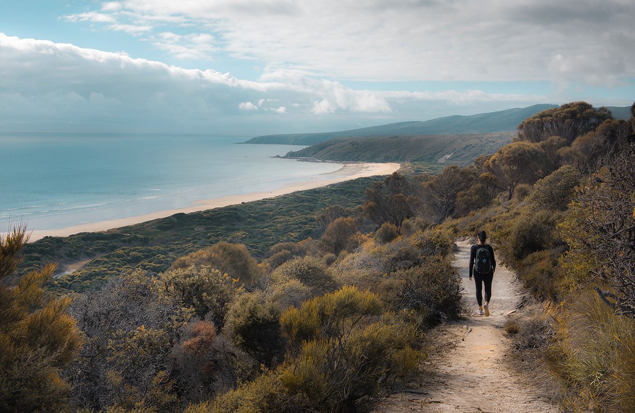 Camping by the night in Narawntapu National Park, image by Australia.com